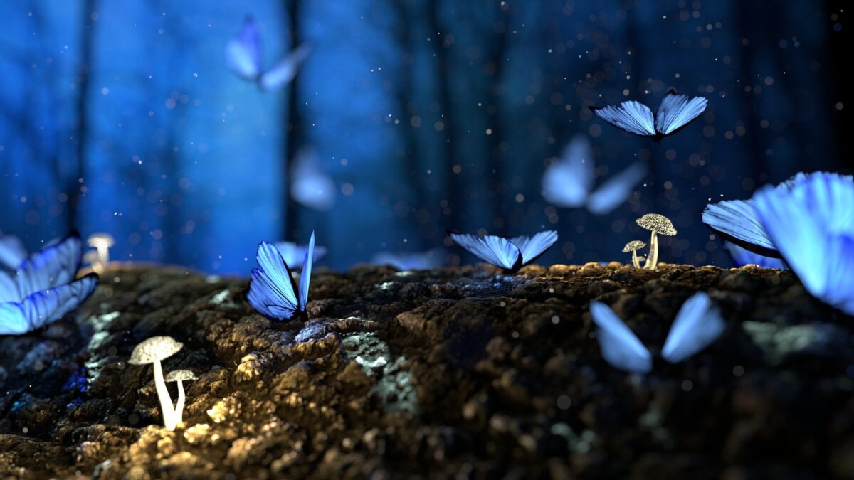 Was bedeutet es, von einem Schmetterling zu träumen? - Mein Traumdeutung